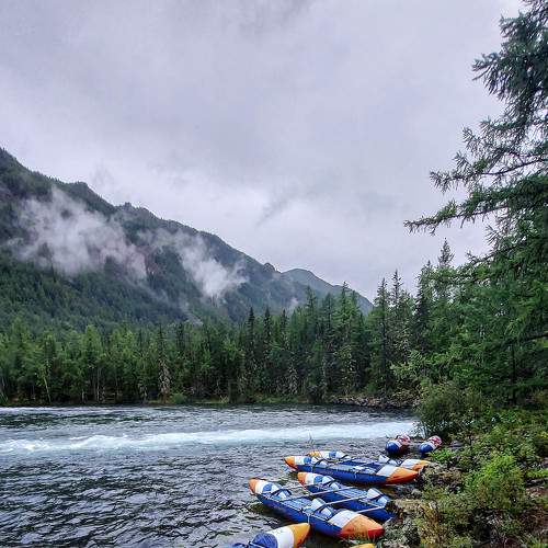 Photo #7191289