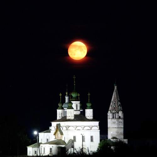 Photo #7191310
