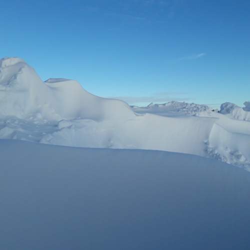 Photo #7191590