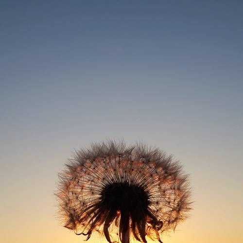 Photo #7191711