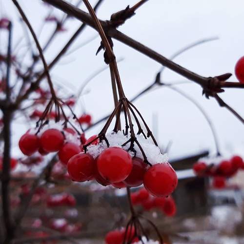 Photo #7191712