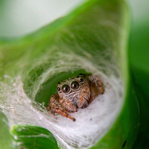 Photo #7191776