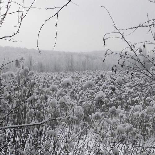 Photo #7192182