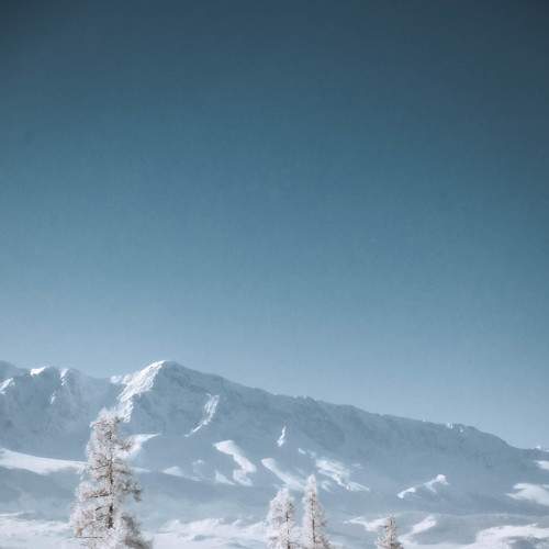 Photo #7192760