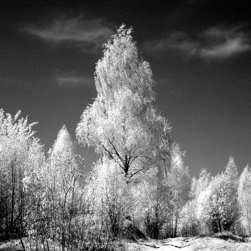 Photo #7192819
