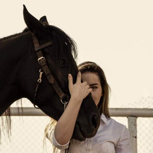 Photo #7192876
