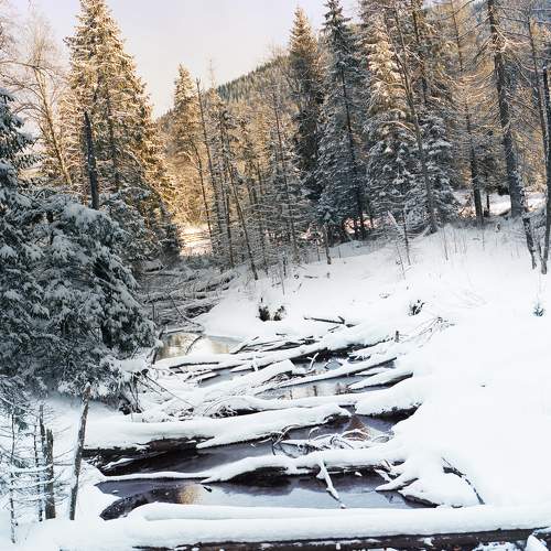 Photo #7193114
