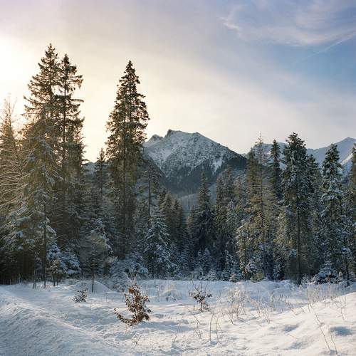 Photo #7193117