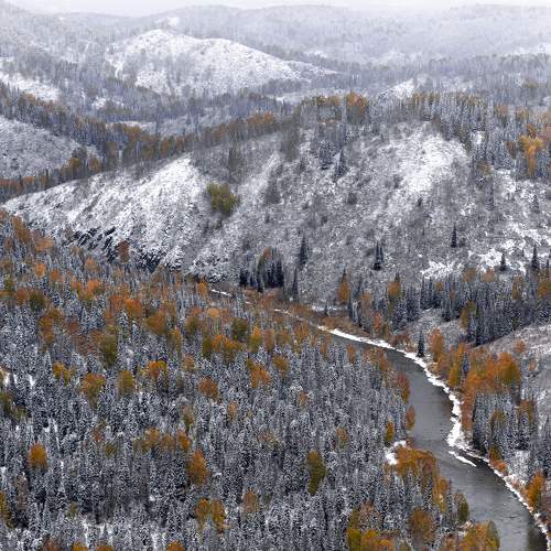 Photo #7193406