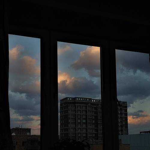 Photo #7193502