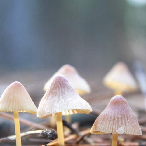 Photo #7193569