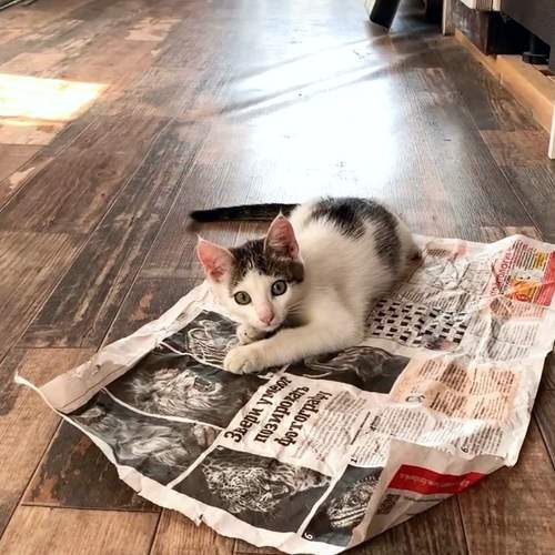 Photo #7193753