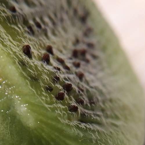 Photo #7193768