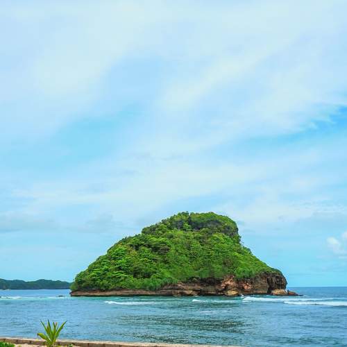 Photo #7193784