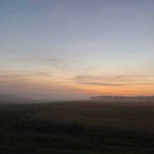 Photo #7193790