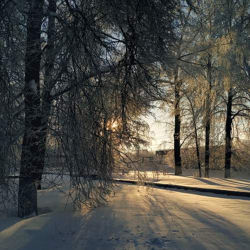 Photo #7193880