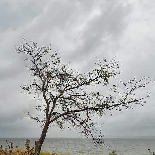 Photo #7193998