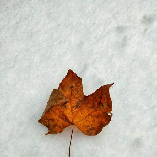 Photo #7194119