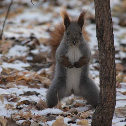 Photo #7194237