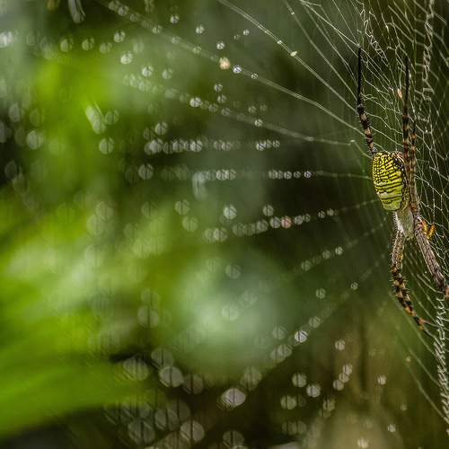 Photo #7194752