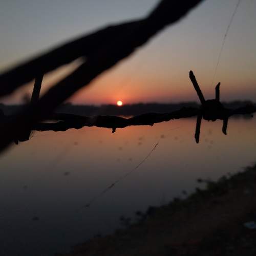 Photo #7194779