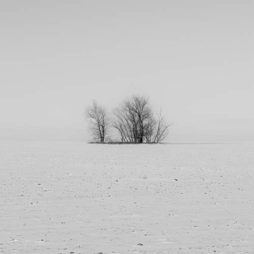 Photo #7194816