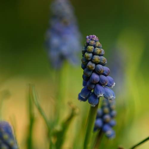 Photo #7194824