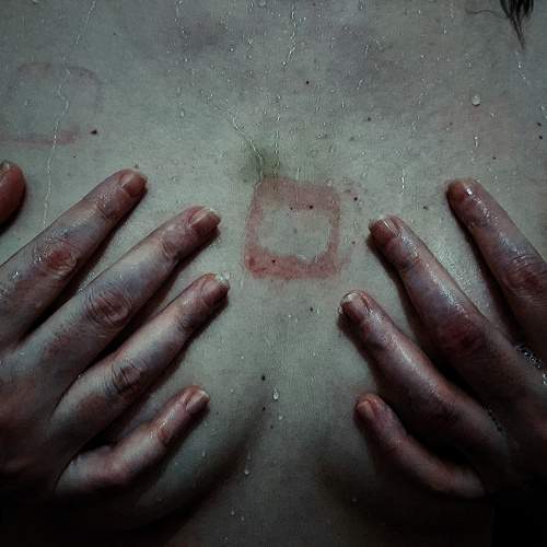 Photo #7194872