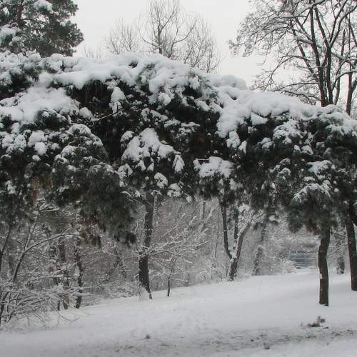Photo #7194918