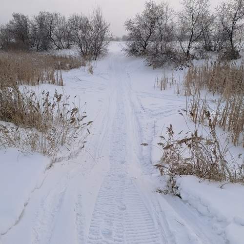 Photo #7195195