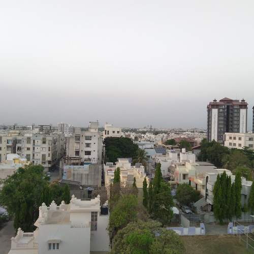 Photo #7195265