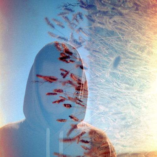 Photo #7195428