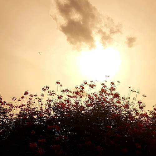 Photo #7195622