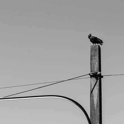 Photo #7195678