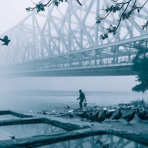 Photo #7195906