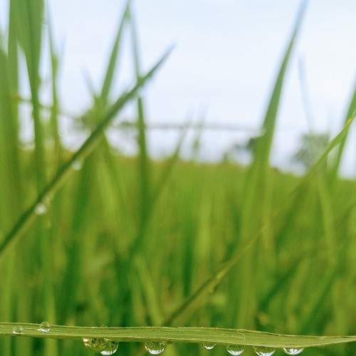 Photo #7196006