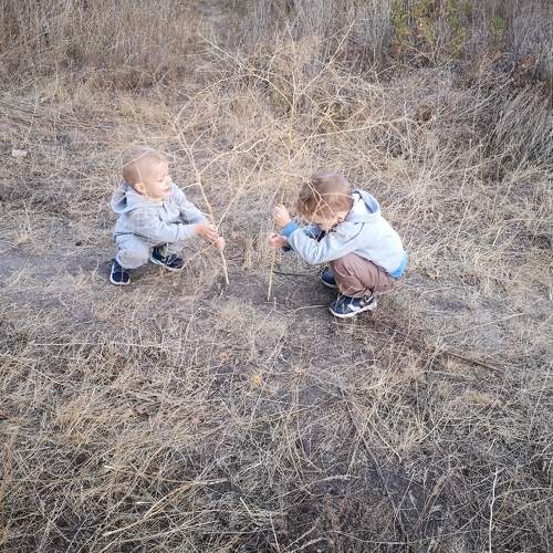 Photo #7196018