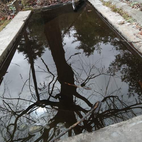 Photo #7196030