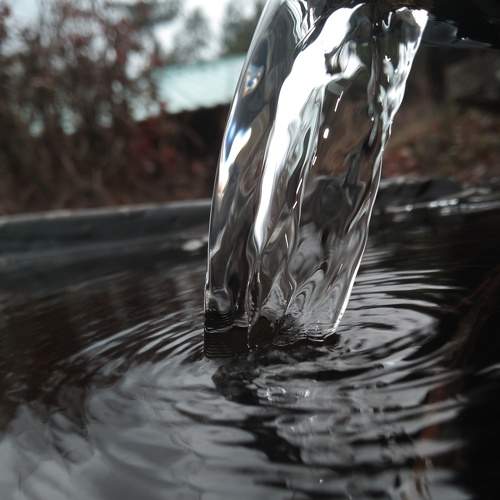 Photo #7196060