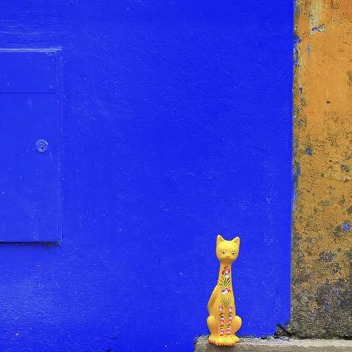 Minimalistic. Colourful facades and a souvenir cat in Portugal.