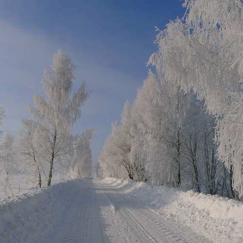Photo #7196303