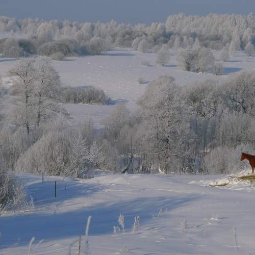 Photo #7196320
