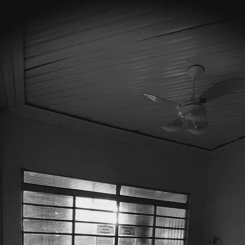 Photo #7196349