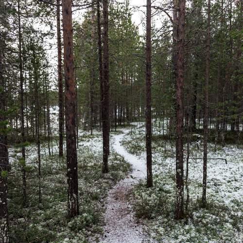 Photo #7196457