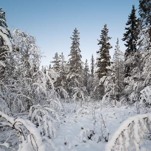 Photo #7196475