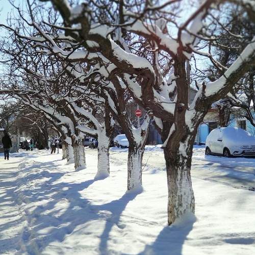 Photo #7196557