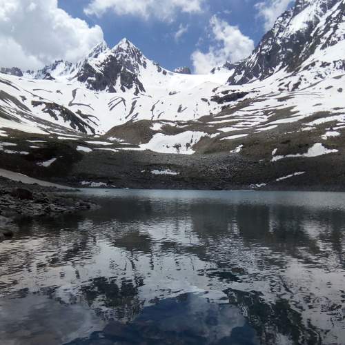 Photo #7196657
