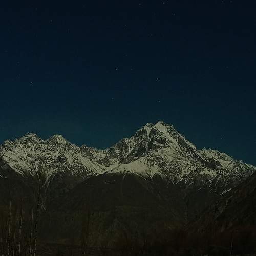 Photo #7196718