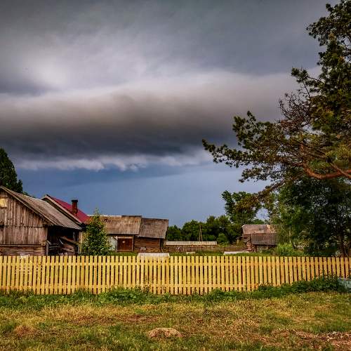 Photo #7196725