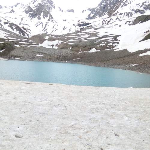 Photo #7196780